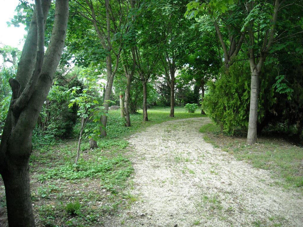 B&B Corte Bezzetti Volta Mantovana Exterior photo
